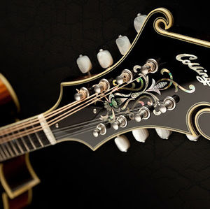 Meet your Posher, Callie